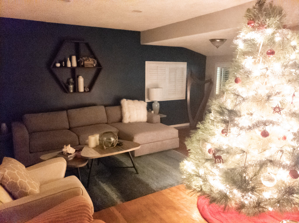 Merry Christmas and Happy Hannukah!