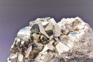 Close up of natural rough Pyrite  with purple-gray background