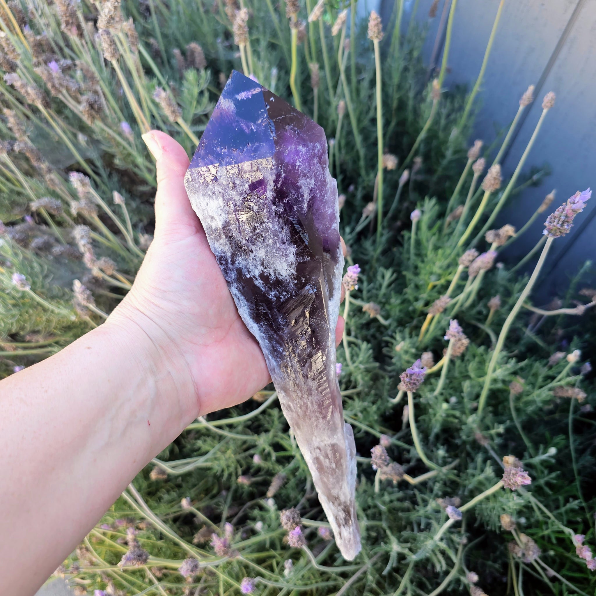 Elestial Amethyst Root Point