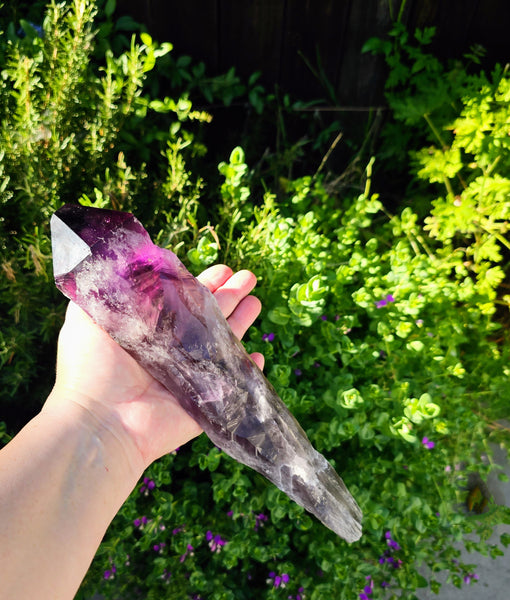 Elestial Amethyst Root Point