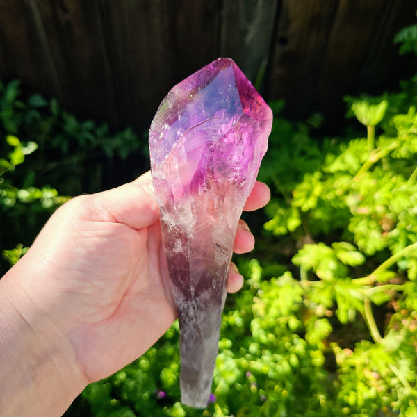 Elestial Amethyst Root Point