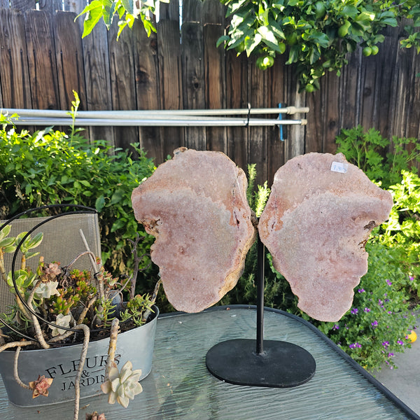 Pink Amethyst Angel Wings on Metal Base