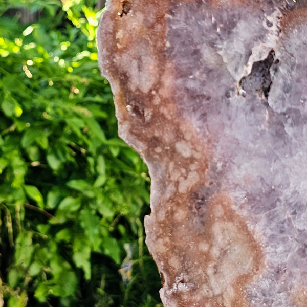 Pink Amethyst Angel Wings on Metal Base