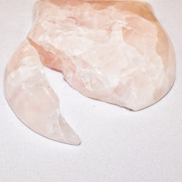 Special Price-Crystal Cat Heads - WHYTE QUARTZ