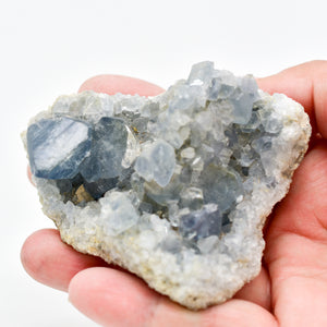 Grade A Celestite Druzy Clusters