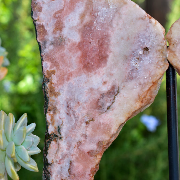 Pink Amethyst Angel Wings on Metal Base