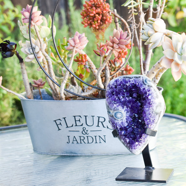 Super Dark Purple AAA Grade Amethyst Druzy Display Pieces