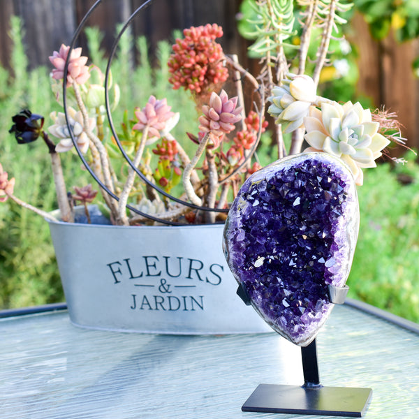 Super Dark Purple AAA Grade Amethyst Druzy Display Pieces