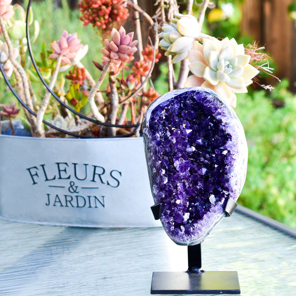 Super Dark Purple AAA Grade Amethyst Druzy Display Pieces