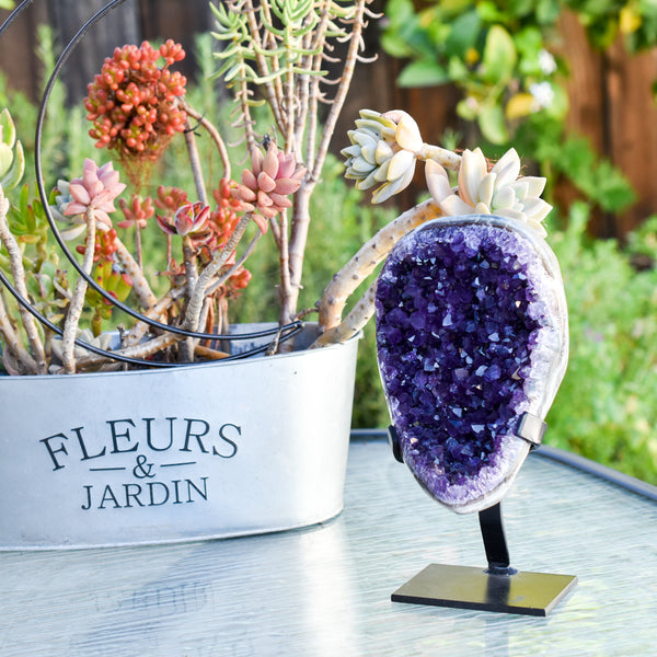 Super Dark Purple AAA Grade Amethyst Druzy Display Pieces