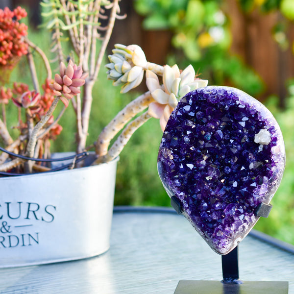 Super Dark Purple AAA Grade Amethyst Druzy Display Pieces