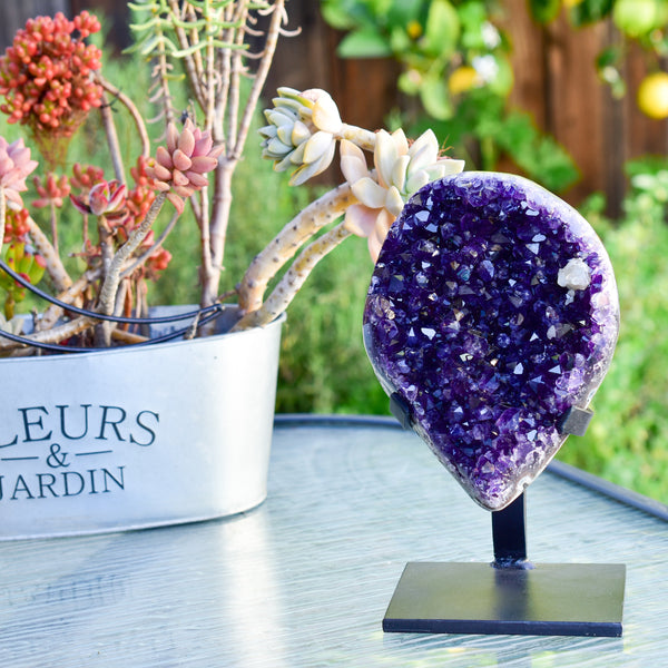 Super Dark Purple AAA Grade Amethyst Druzy Display Pieces