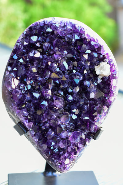 Super Dark Purple AAA Grade Amethyst Druzy Display Pieces