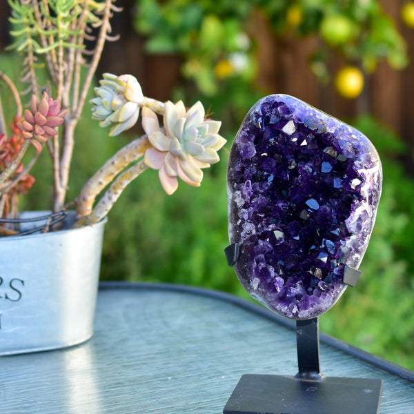 Super Dark Purple AAA Grade Amethyst Druzy Display Pieces