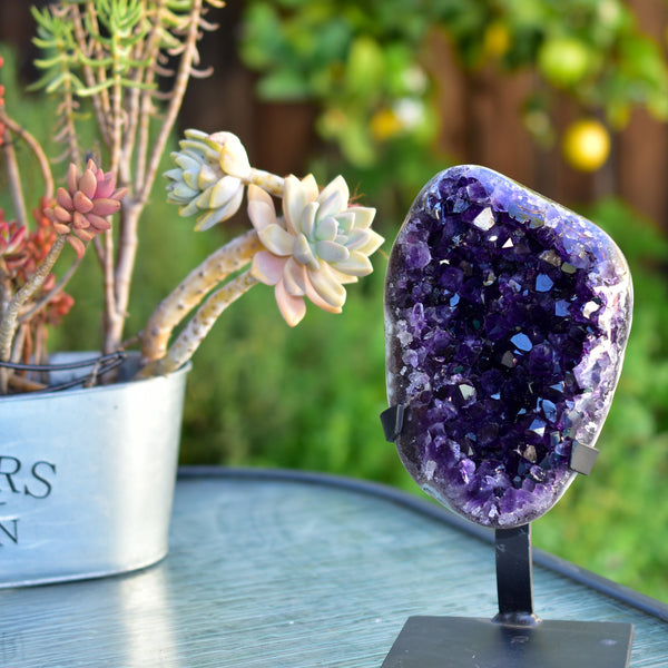 Super Dark Purple AAA Grade Amethyst Druzy Display Pieces