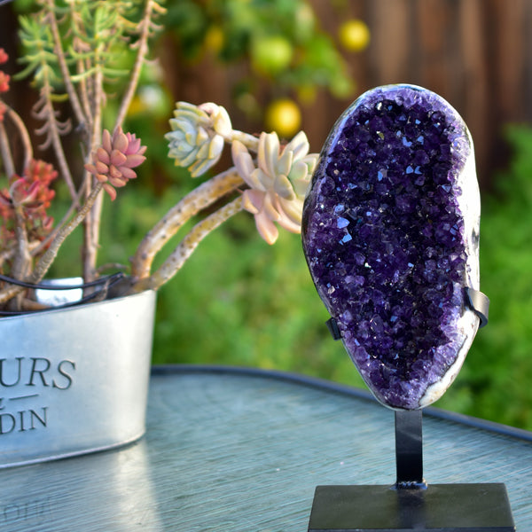Super Dark Purple AAA Grade Amethyst Druzy Display Pieces