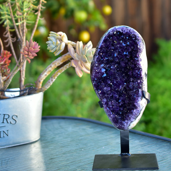 Super Dark Purple AAA Grade Amethyst Druzy Display Pieces