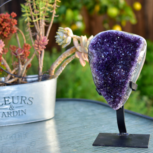 Super Dark Purple AAA Grade Amethyst Druzy Display Pieces