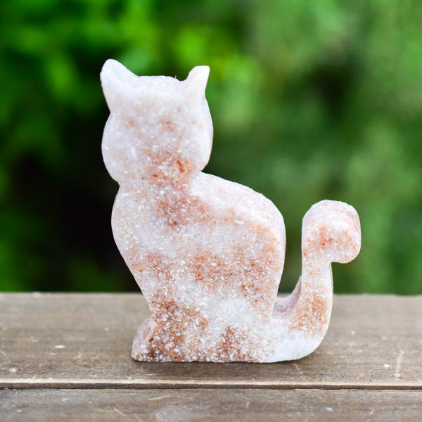 Whyte Quartz Grade A Pink Amethyst Sitting Cat on wood table with greenery outdoors