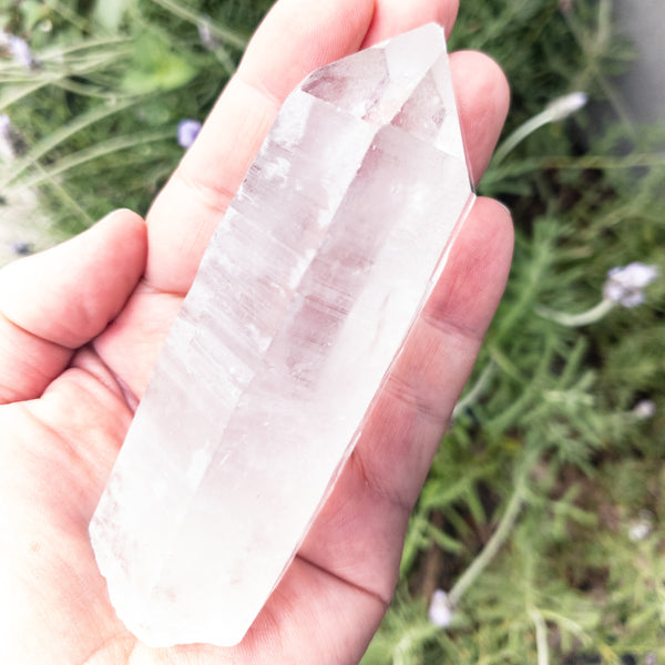 Crystal Quartz points - WHYTE QUARTZ