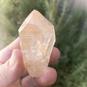 Tangerine Quartz Points - WHYTE QUARTZ