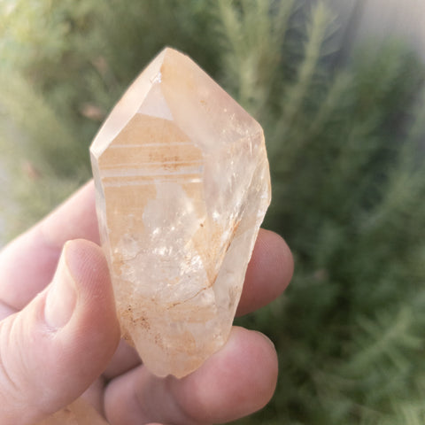 Tangerine Quartz Points - WHYTE QUARTZ
