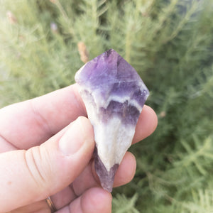 Gorgeous Chevron Amethyst Points - WHYTE QUARTZ