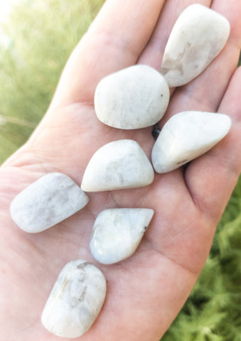 Polished Moonstone Rocks - WHYTE QUARTZ