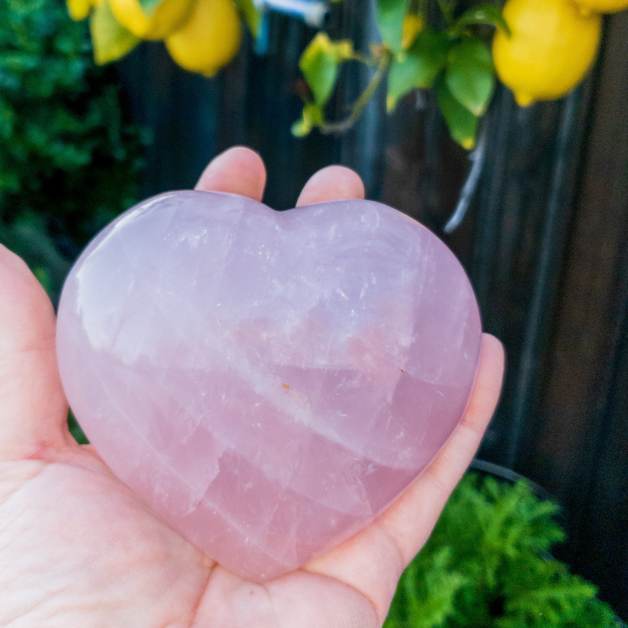 Rose Quartz Hearts